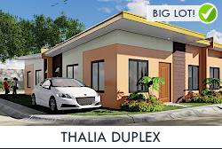 Thalia Duplex - 3BR House for Sale in Balayan, Batangas